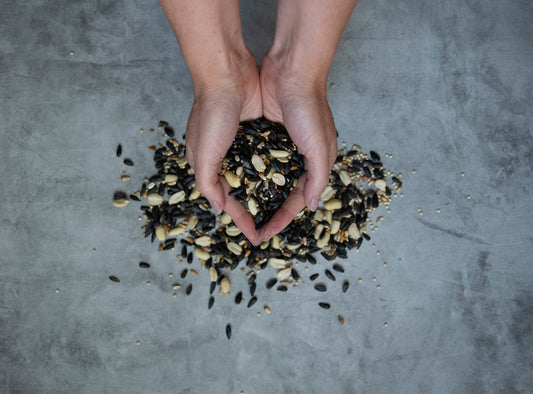No Filler, Just Flavor: What Birds Really Want