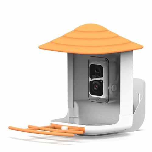 NEW BeakView Bird Feeder Camera