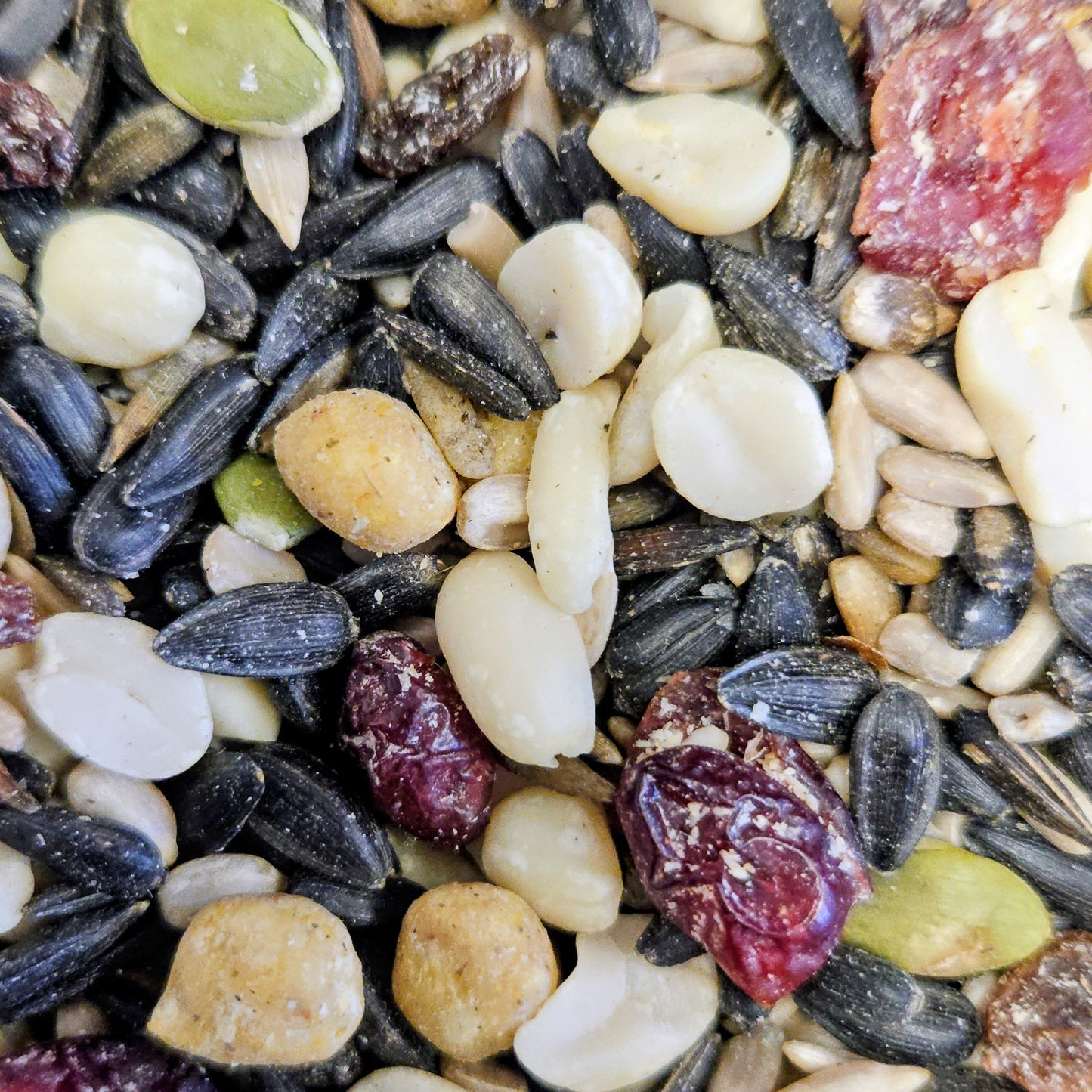 Winter Select Blend - five pound bag