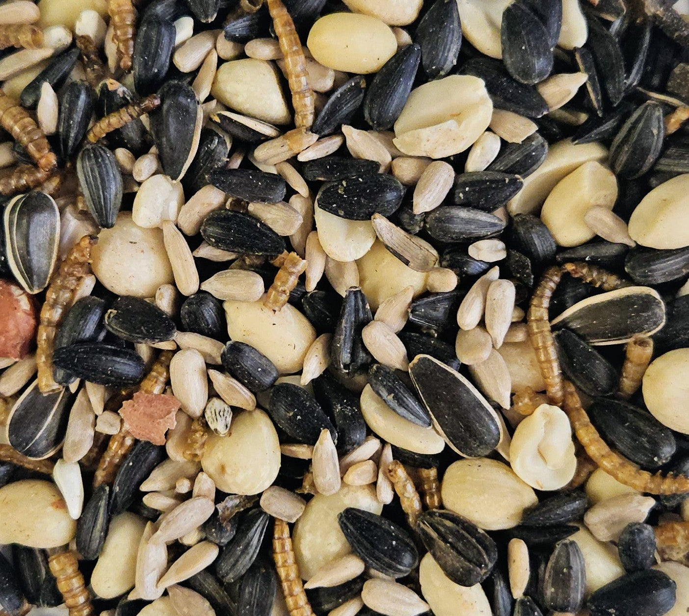 Spring Select Blend - five pound bag