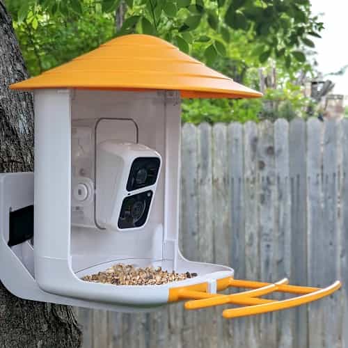 NEW BeakView Bird Feeder Camera