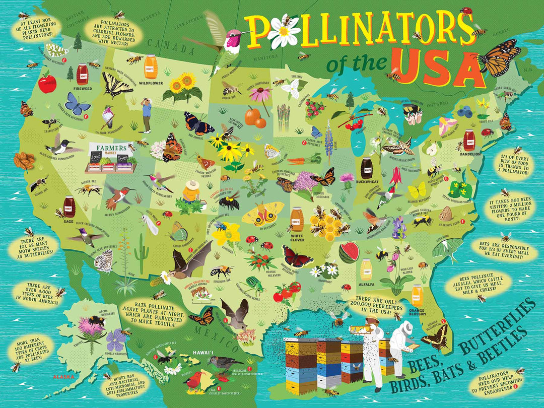 Pollinators of the USA Puzzle