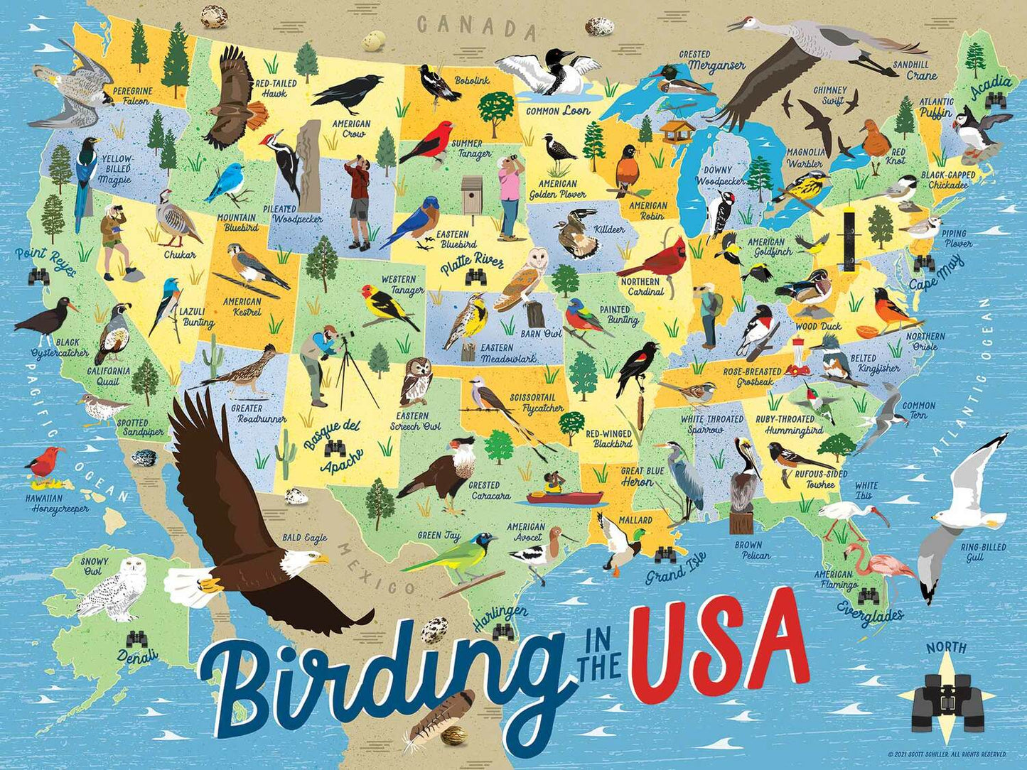 Birding in the USA Puzzle