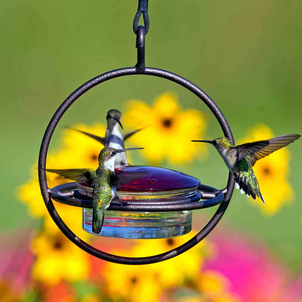 Mosaic Birds Hummble Bold Hummingbird Feeder