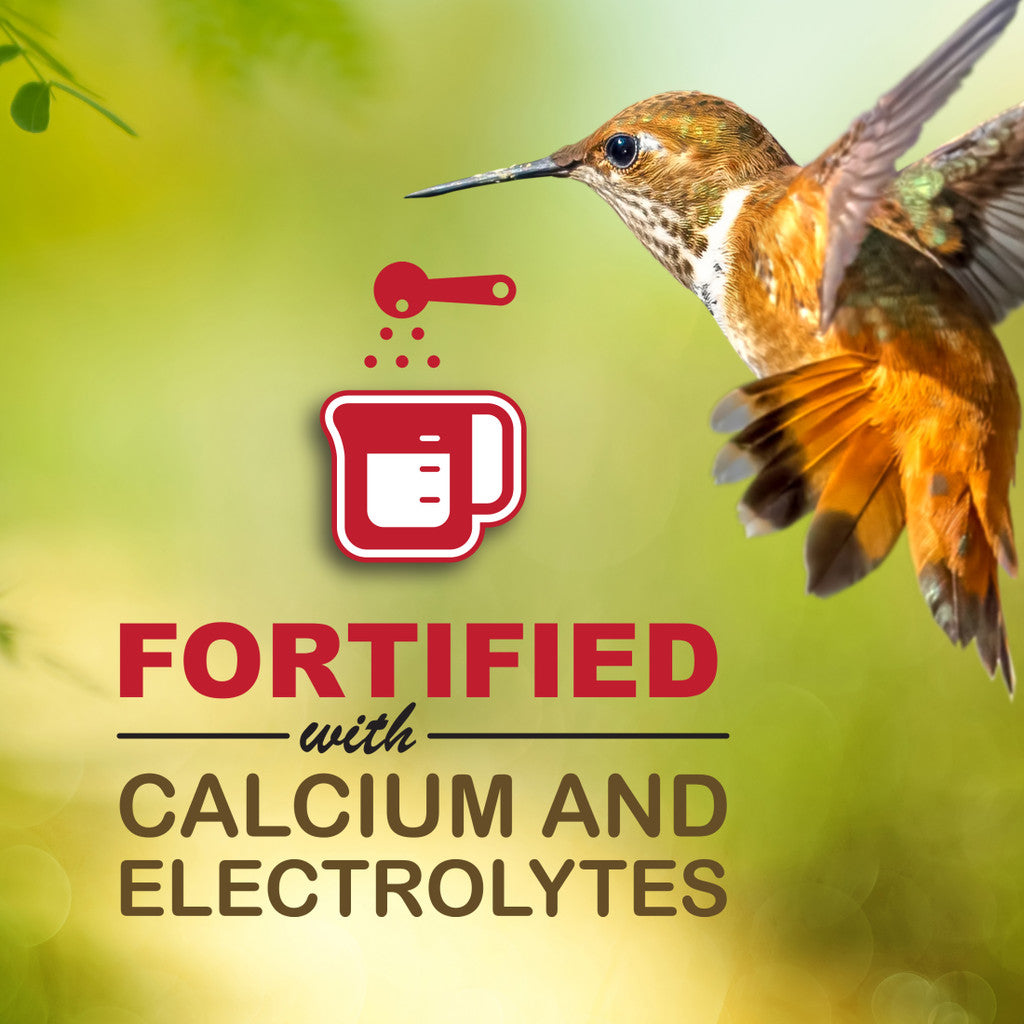 Sweet-Nectar™ Ready-to-Use Hummingbird Nectar