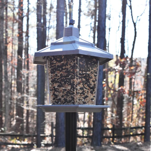 My First Bird Feeder Set for Kids