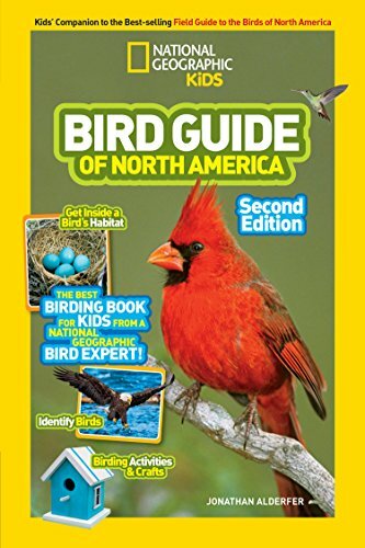 My First Bird Feeder Set for Kids