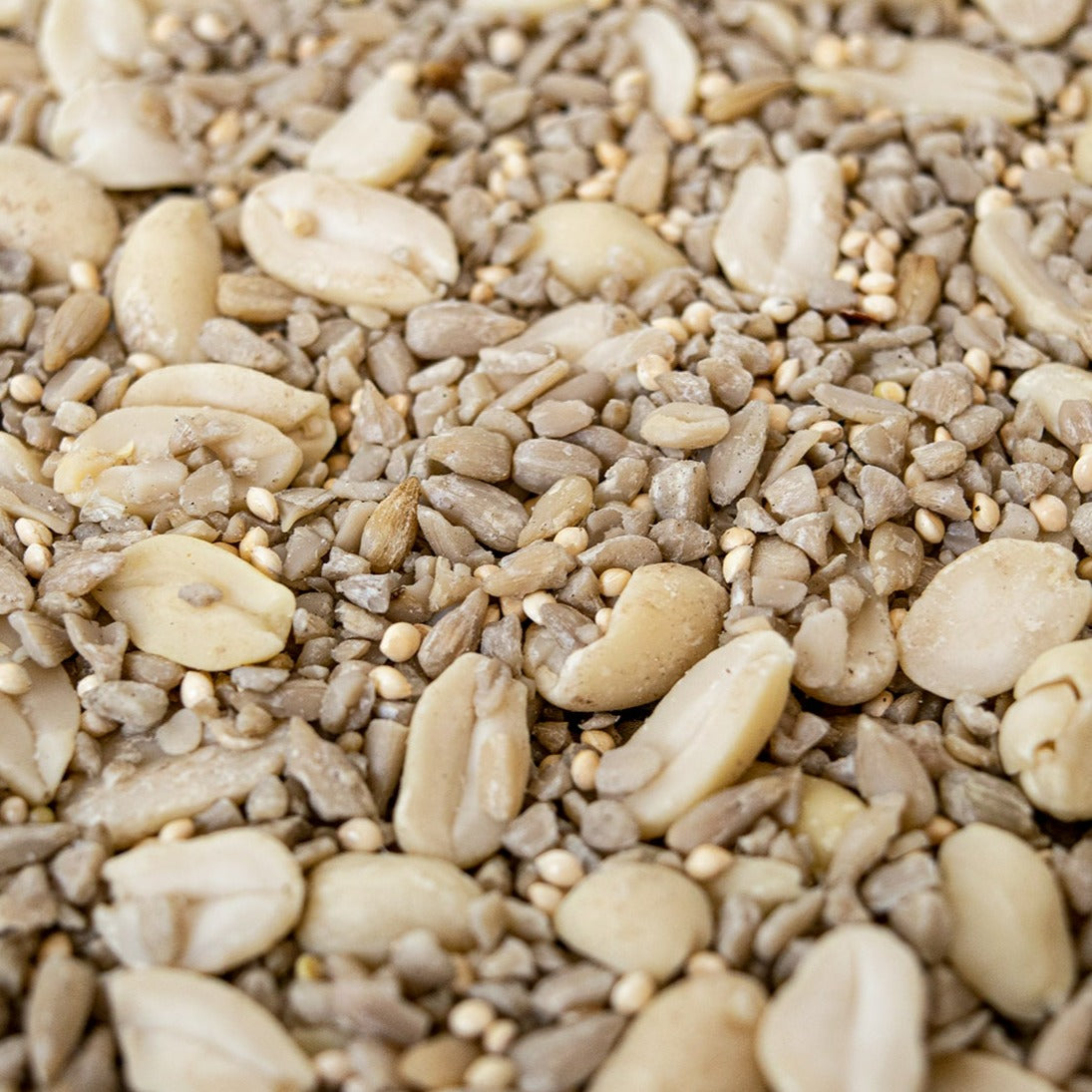 Starter HappySeed Box