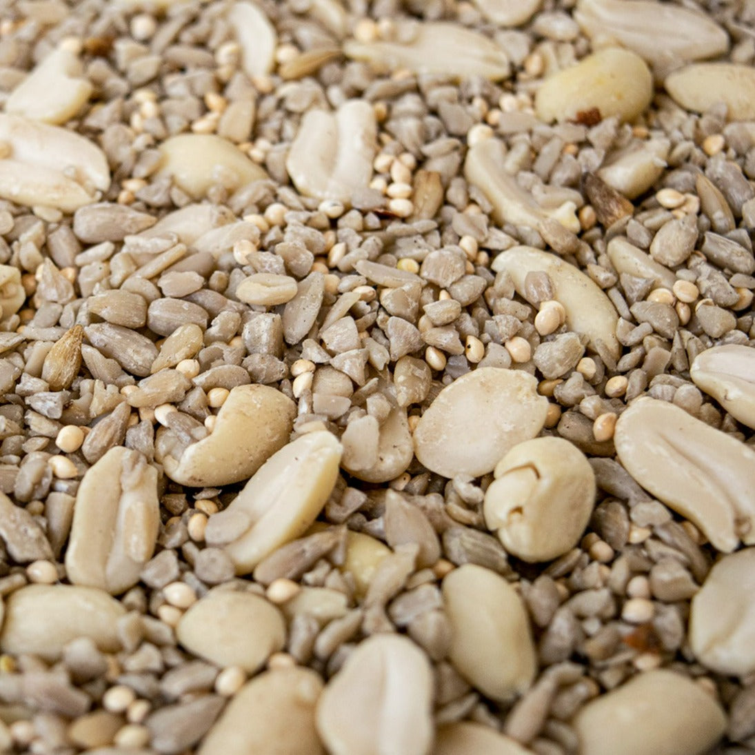 Splendid HappySeed Box