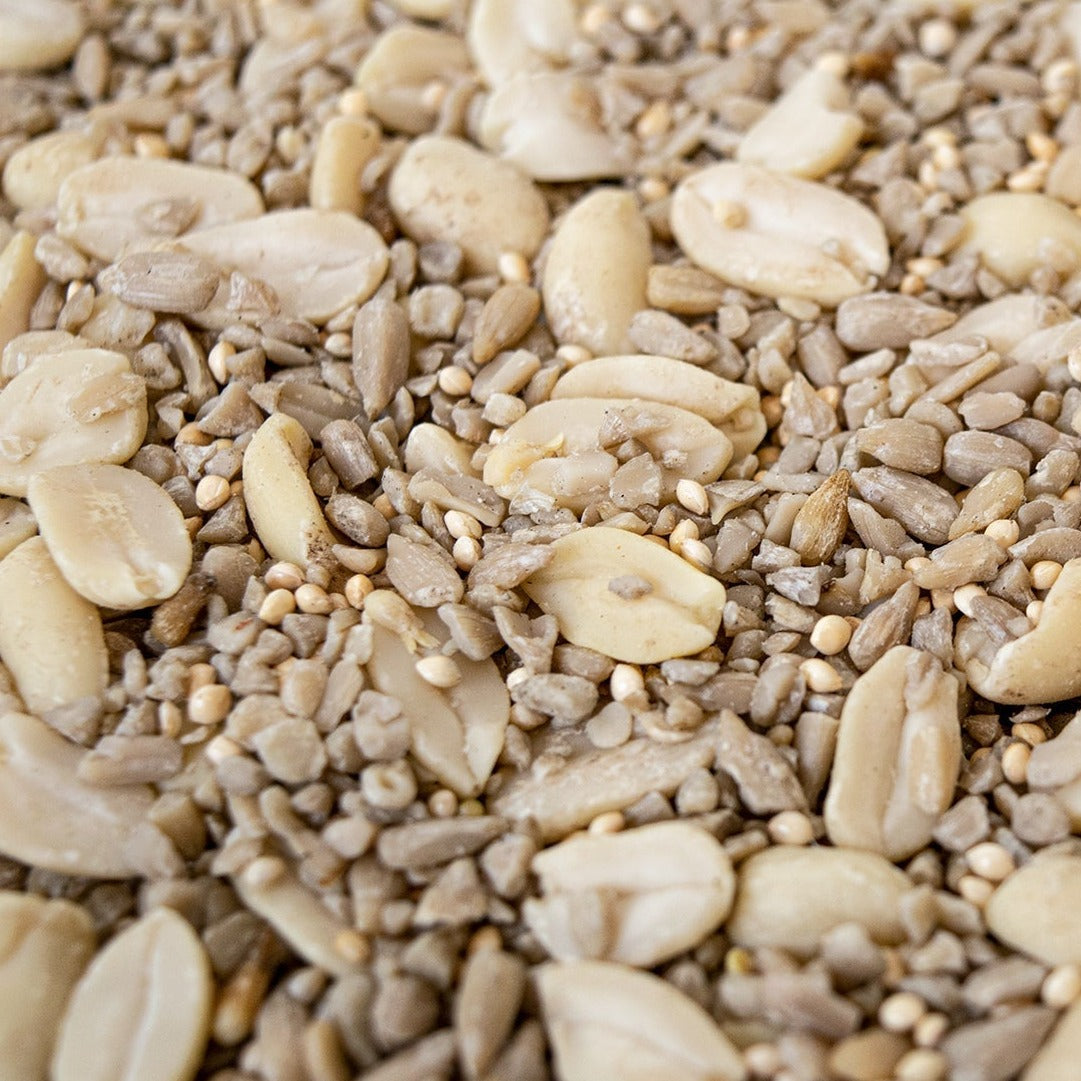 Upgrade to No Waste Blend (3 months)