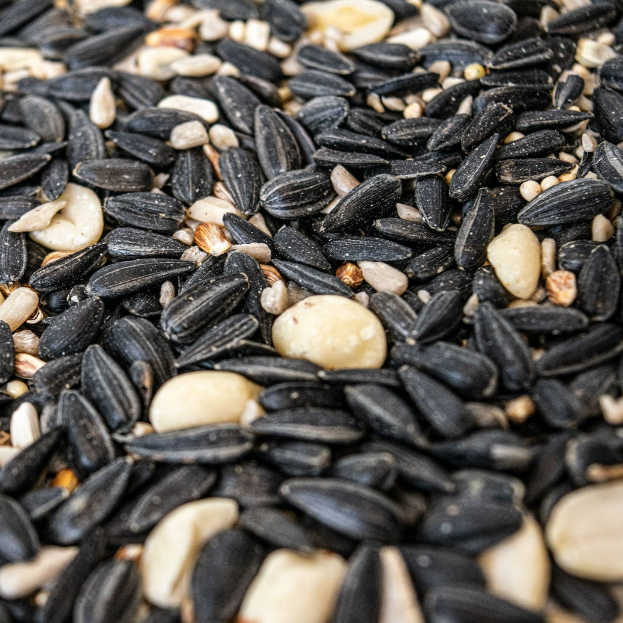 Splendid HappySeed Box