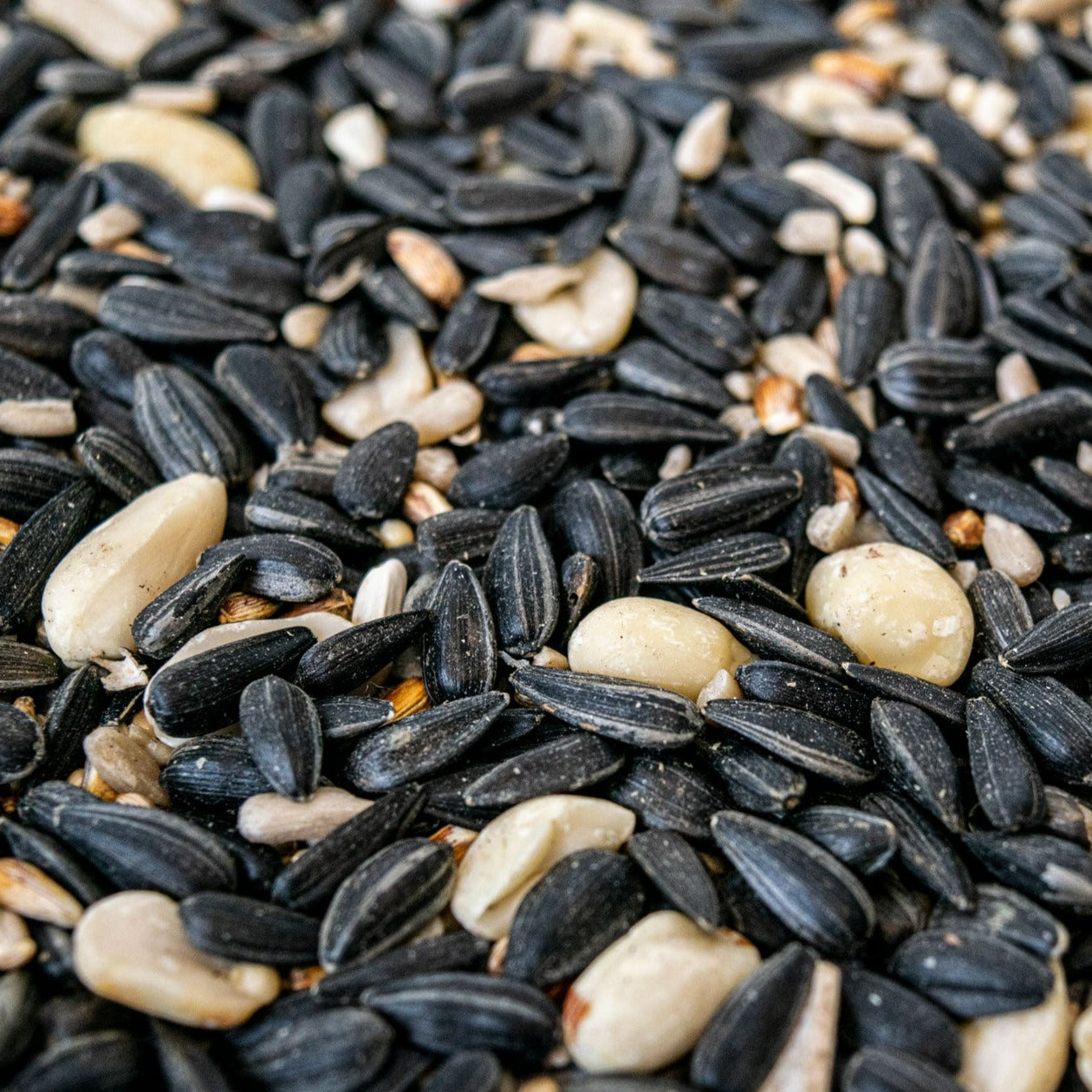 Starter HappySeed Box