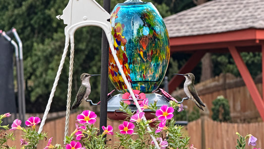 Lori’s Backyard Retreat