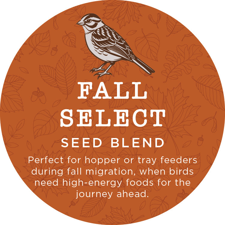 Fall Select Blend - five pound bag
