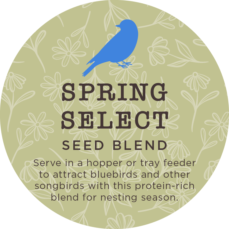 Spring Songbird Box - Limited Seasonal Bundle