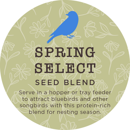 Spring Songbird Box - Limited Seasonal Bundle