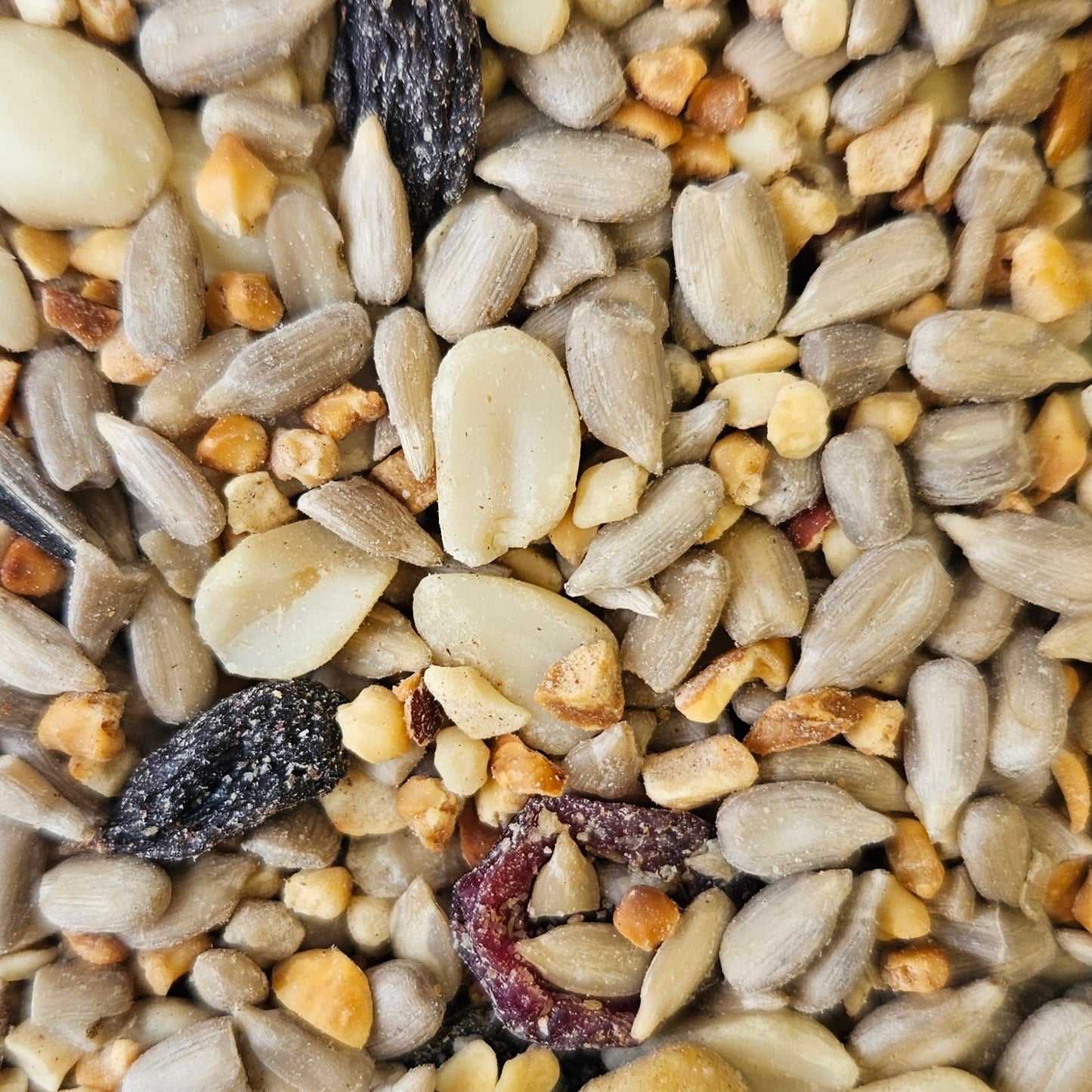 HappySeed Triple Treat: Premium Bird Food Variety Pail