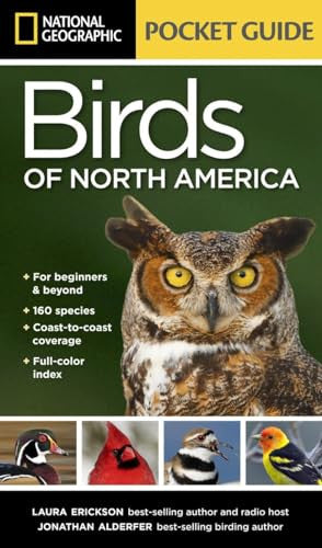 Pocket Guide to the Birds of North America