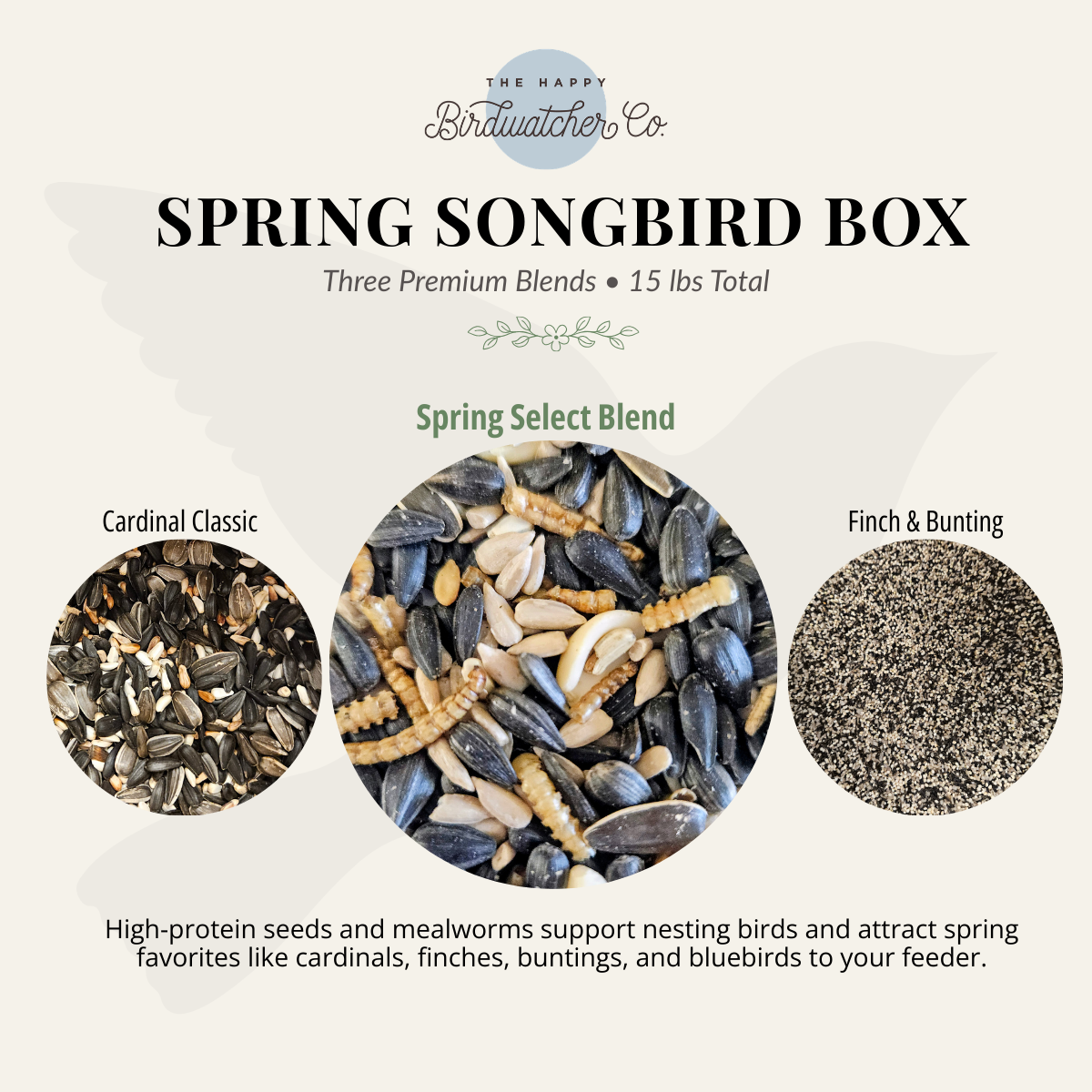 Spring Songbird Box - Limited Seasonal Bundle