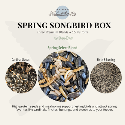 Spring Songbird Box - Limited Seasonal Bundle
