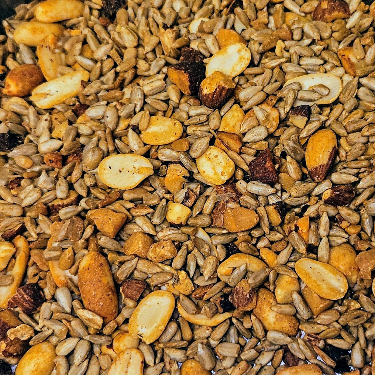 Close-up of a mix of hot pepper coated birdseed with sunflower seeds and nut assortment