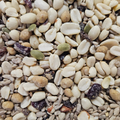 Close-up of a mixture of  birdseed containing peanuts, sunflower seeds, dried fruit and suet balls. 