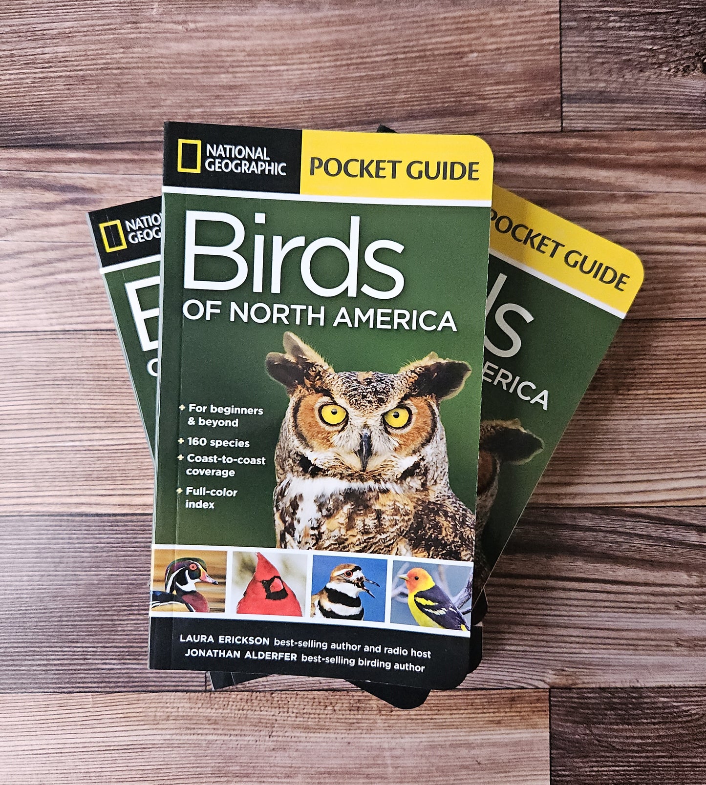 Pocket Guide to the Birds of North America