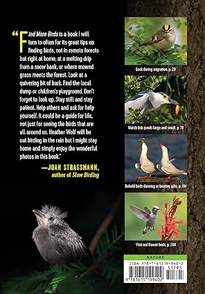 Find More Birds: 111 Surprising Ways To Spot Birds Wherever You Are