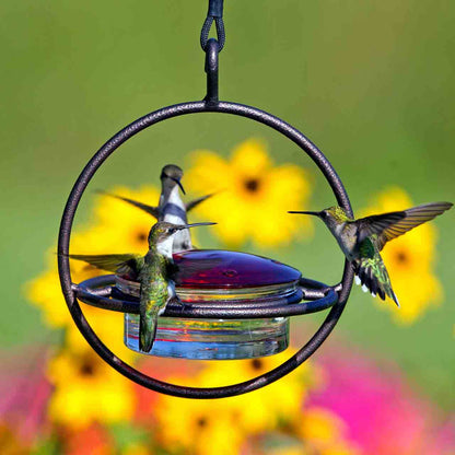 Mosaic Birds Hummble Bold Hummingbird Feeder
