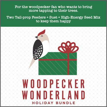 Woodpecker Wonderland Holiday Bundle