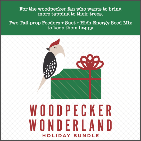 Woodpecker Wonderland Holiday Bundle