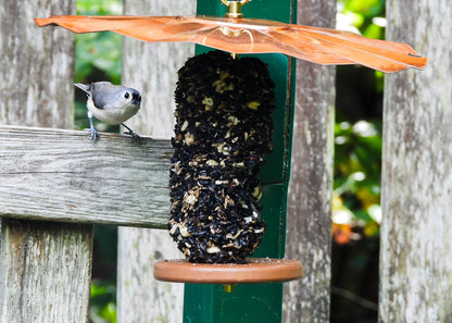tufted titmouse perched on wooden fence looking at seed cylinder feeder with copper roof