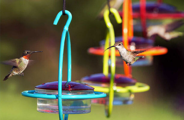 Hummingbirds interacting with a colorful hummingbird feeder against a blurred natural background