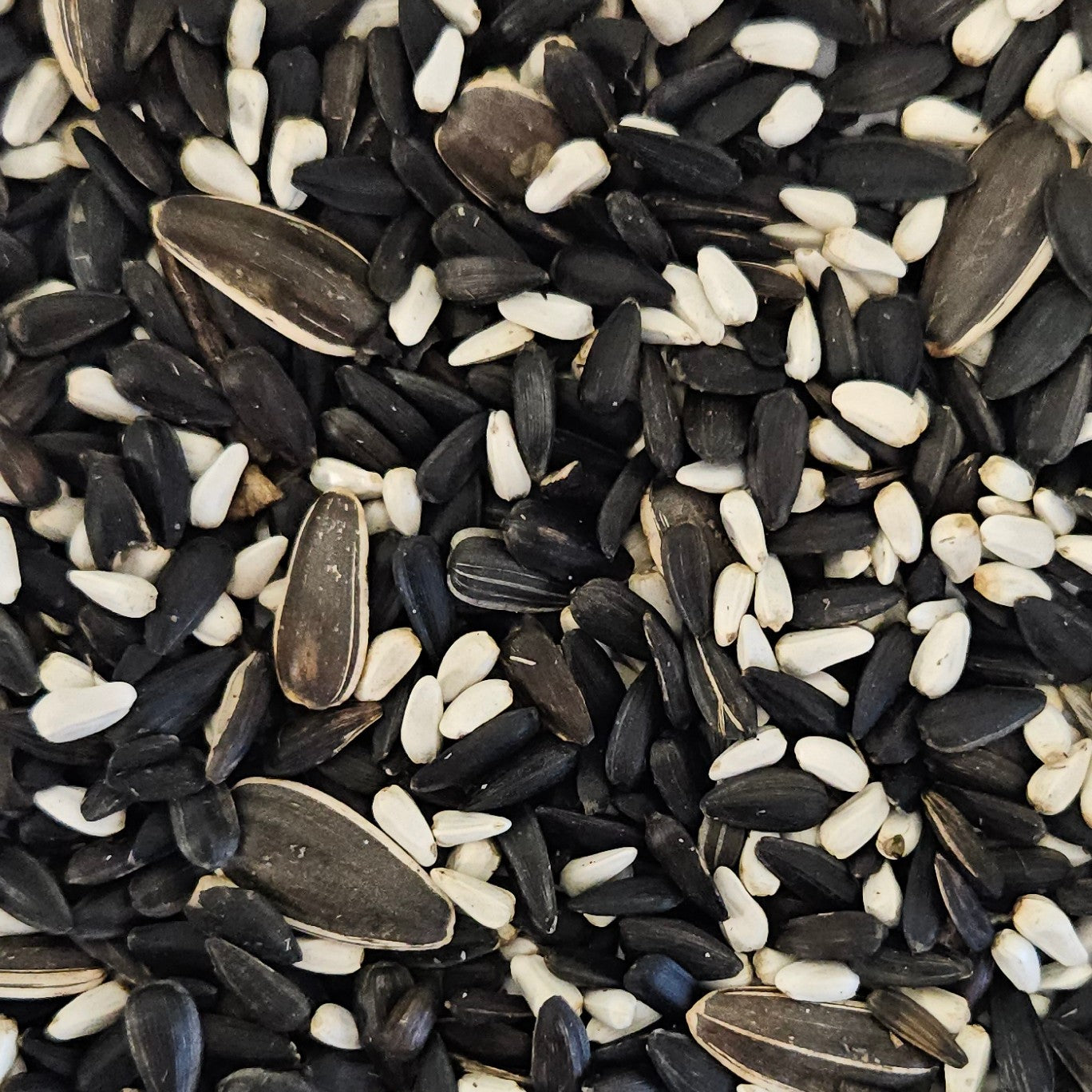 Mixture of black, white, and brown sunflower seeds.