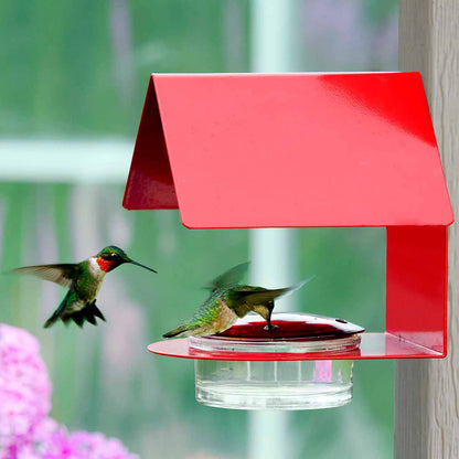 Two hummingbirds at a red hummingbird feeder with a blurred green background