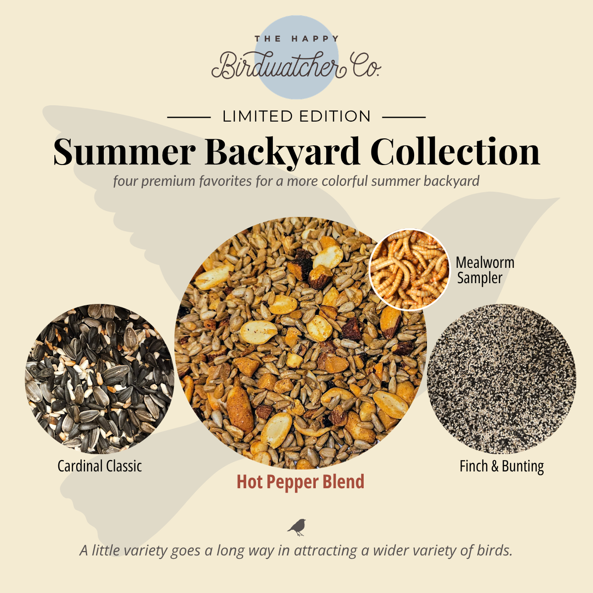 Summer Backyard Collection