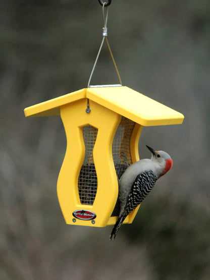 Recycled Curved Screen Feeder